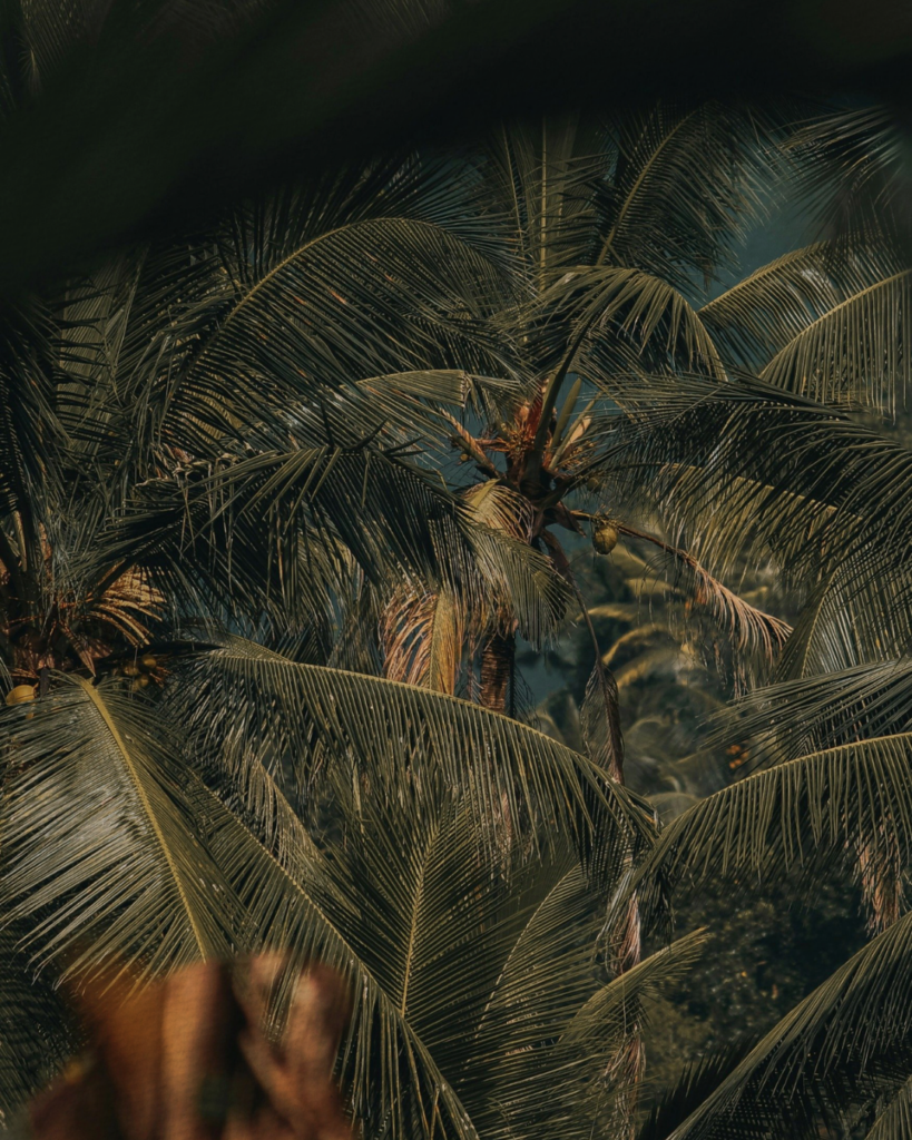 Tropical Leaves Dark